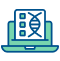 Customized Medical Billing and Coding Solutions Icon