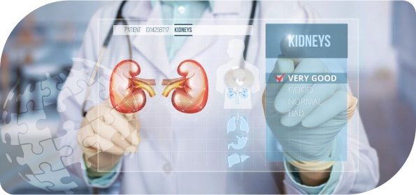 Nephrology Medical Billing and Coding Services