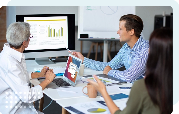 mips reporting company